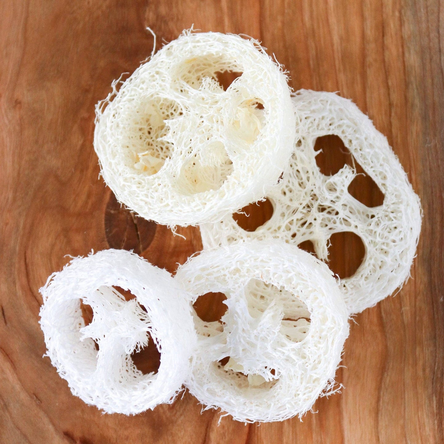 Loofah Single Piece | Loofah Slice/Soap Riser