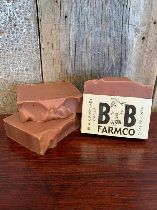 Goat  Milk Bar Soap | Black Raspberry Vanilla - The Mirrored Past